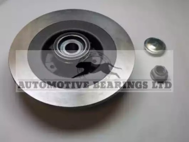 Комплект подшипника Automotive Bearings ABK1766