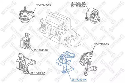 График STELLOX 25-17249-SX