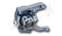 Насос IPS Parts IPW-7J01