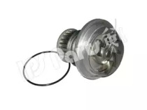 Насос IPS Parts IPW-7W01