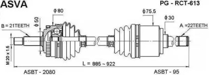  ASVA PG-RCT-613