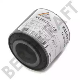 Подвеска BERGKRAFT BK2869321SP