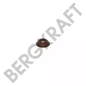  BERGKRAFT BK2936821SP