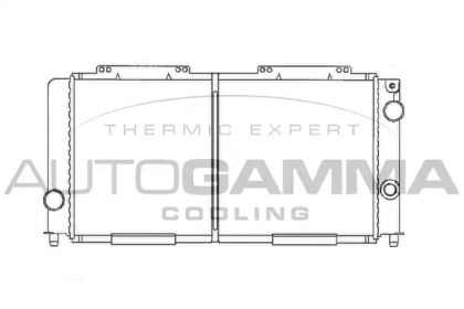 Теплообменник AUTOGAMMA 100003