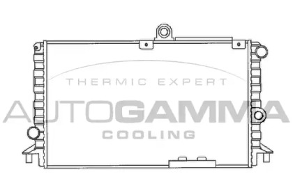 Теплообменник AUTOGAMMA 100004
