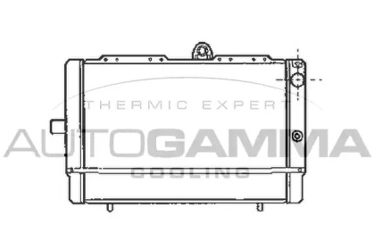 Радиатор, охлаждение двигателя AUTOGAMMA 100005
