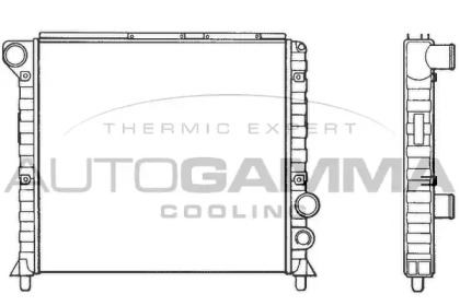 Теплообменник AUTOGAMMA 100006