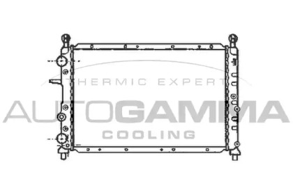 Теплообменник AUTOGAMMA 100016