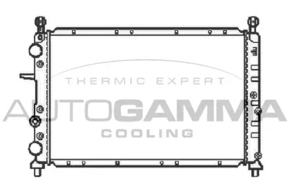 Теплообменник AUTOGAMMA 100017