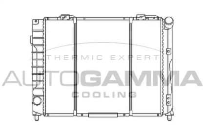 Теплообменник AUTOGAMMA 100020