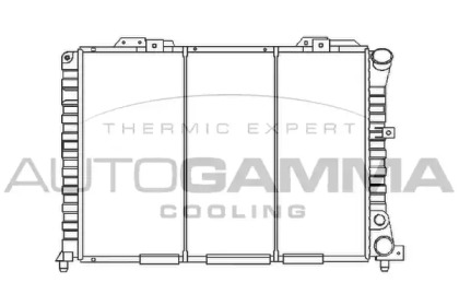 Теплообменник AUTOGAMMA 100021