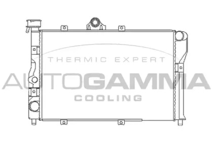 Теплообменник AUTOGAMMA 100024