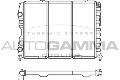 Теплообменник AUTOGAMMA 100029