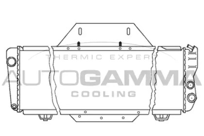 Теплообменник AUTOGAMMA 100032