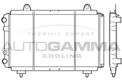 Теплообменник AUTOGAMMA 100035