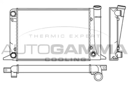 Теплообменник AUTOGAMMA 100040