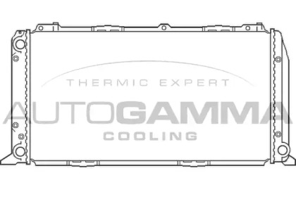 Теплообменник AUTOGAMMA 100041