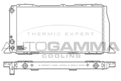 Теплообменник AUTOGAMMA 100045