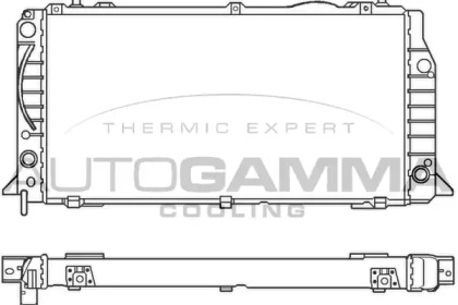 Теплообменник AUTOGAMMA 100049