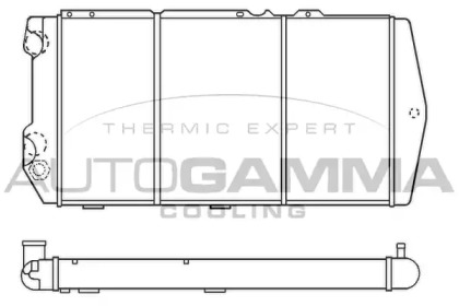 Теплообменник AUTOGAMMA 100054