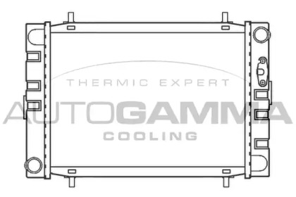 Теплообменник AUTOGAMMA 100069