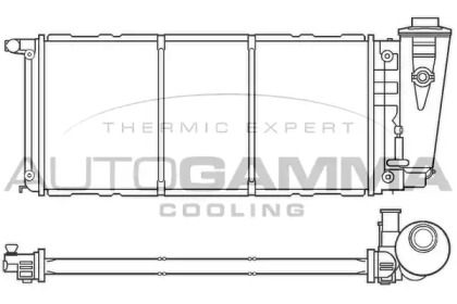 Теплообменник AUTOGAMMA 100079