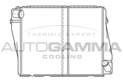 Теплообменник AUTOGAMMA 100081