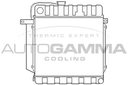 Радиатор, охлаждение двигателя AUTOGAMMA 100082