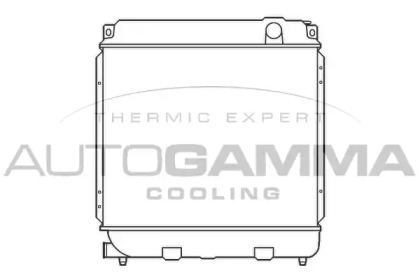 Теплообменник AUTOGAMMA 100083