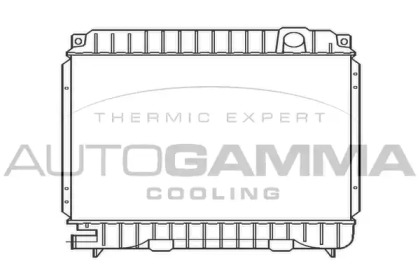 Теплообменник AUTOGAMMA 100084