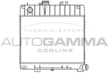 Теплообменник AUTOGAMMA 100090