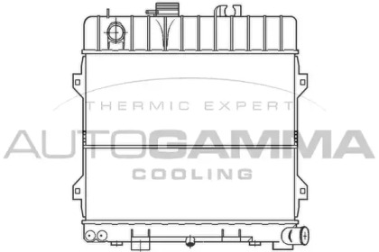 Теплообменник AUTOGAMMA 100092