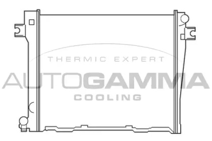 Теплообменник AUTOGAMMA 100098