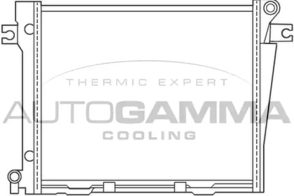 Теплообменник AUTOGAMMA 100104