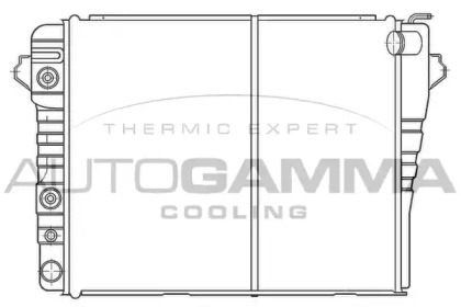 Теплообменник AUTOGAMMA 100110