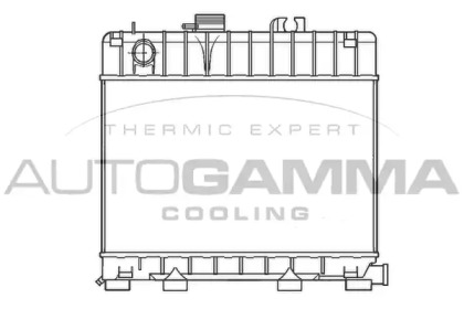 Теплообменник AUTOGAMMA 100112