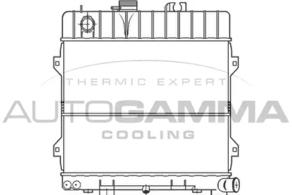Теплообменник AUTOGAMMA 100113