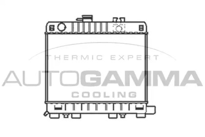 Теплообменник AUTOGAMMA 100114