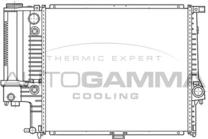 Теплообменник AUTOGAMMA 100126