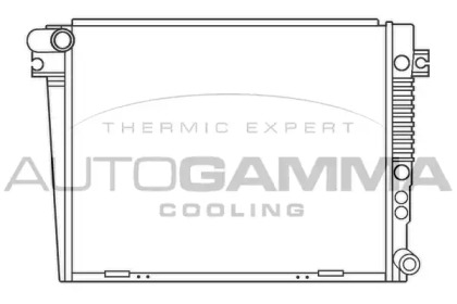 Теплообменник AUTOGAMMA 100135
