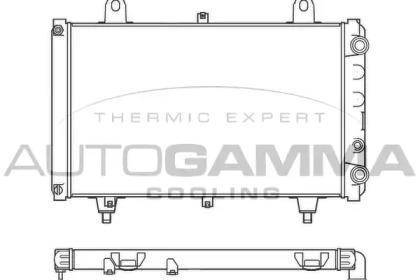 Теплообменник AUTOGAMMA 100174