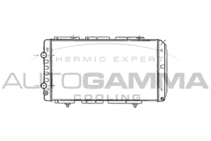 Теплообменник AUTOGAMMA 100188