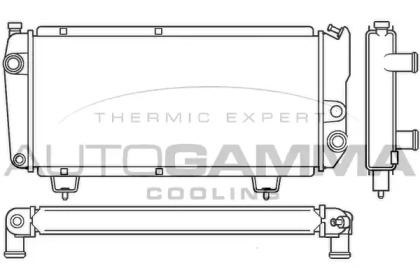 Теплообменник AUTOGAMMA 100193