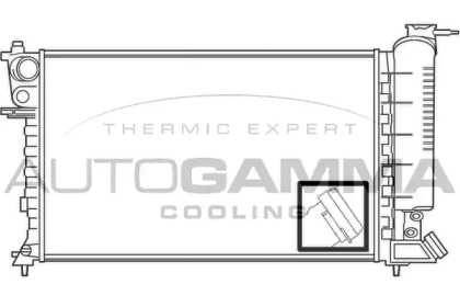 Теплообменник AUTOGAMMA 100224
