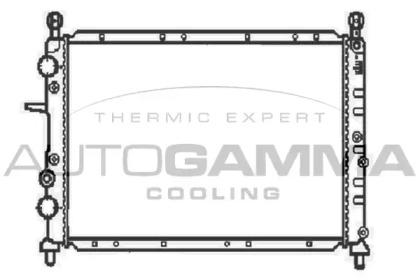 Теплообменник AUTOGAMMA 100266