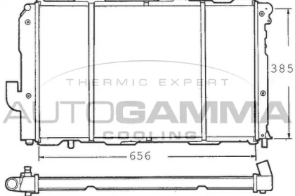 Теплообменник AUTOGAMMA 100281