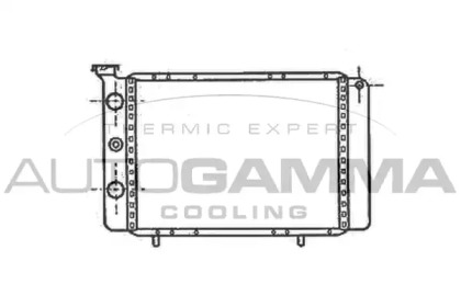 Теплообменник AUTOGAMMA 100304