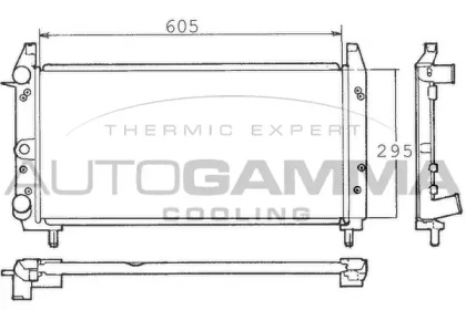 Теплообменник AUTOGAMMA 100319