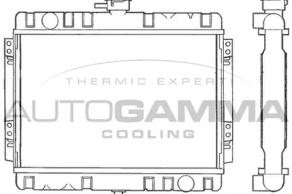 Теплообменник AUTOGAMMA 100321