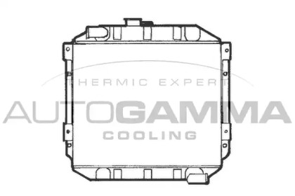 Радиатор, охлаждение двигателя AUTOGAMMA 100325